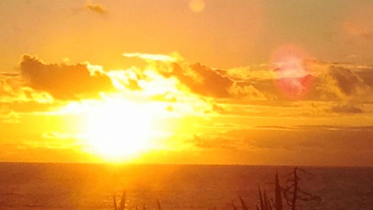 Are you spreading sunshine or viral misery?